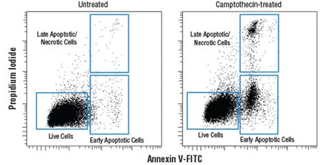 apoptotic cell death test kit